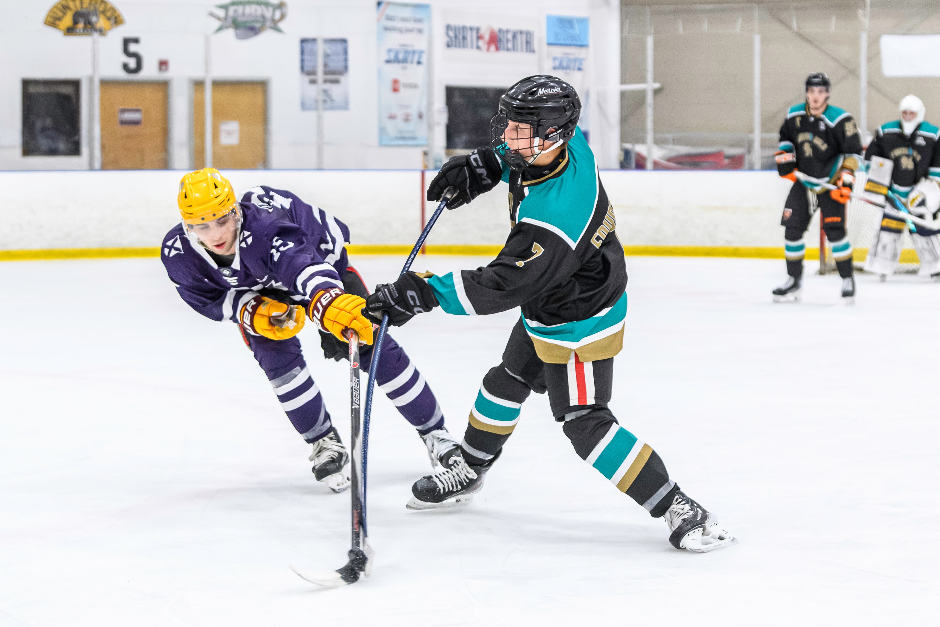 Metro Hockey League