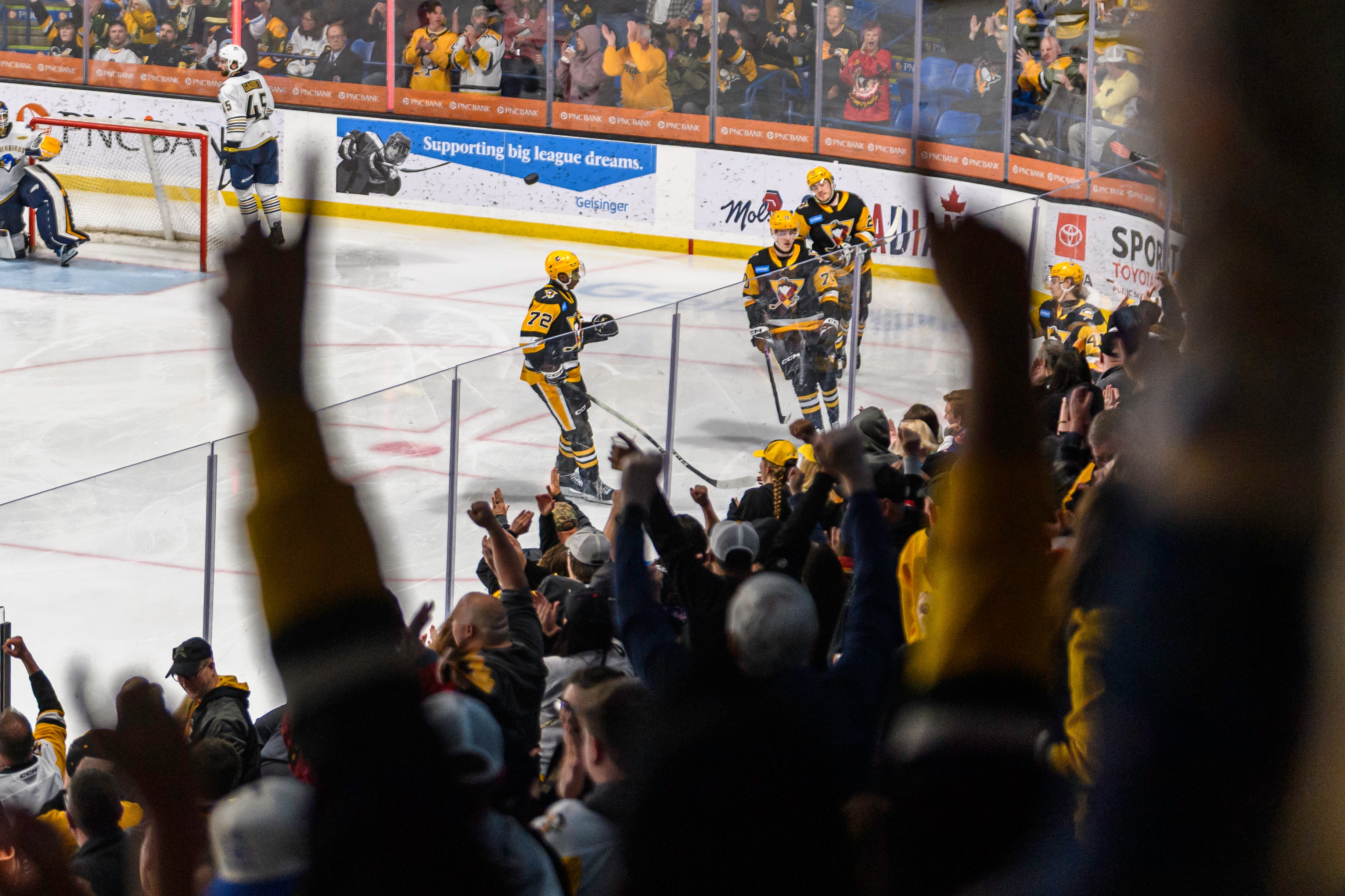 Goal Celebration