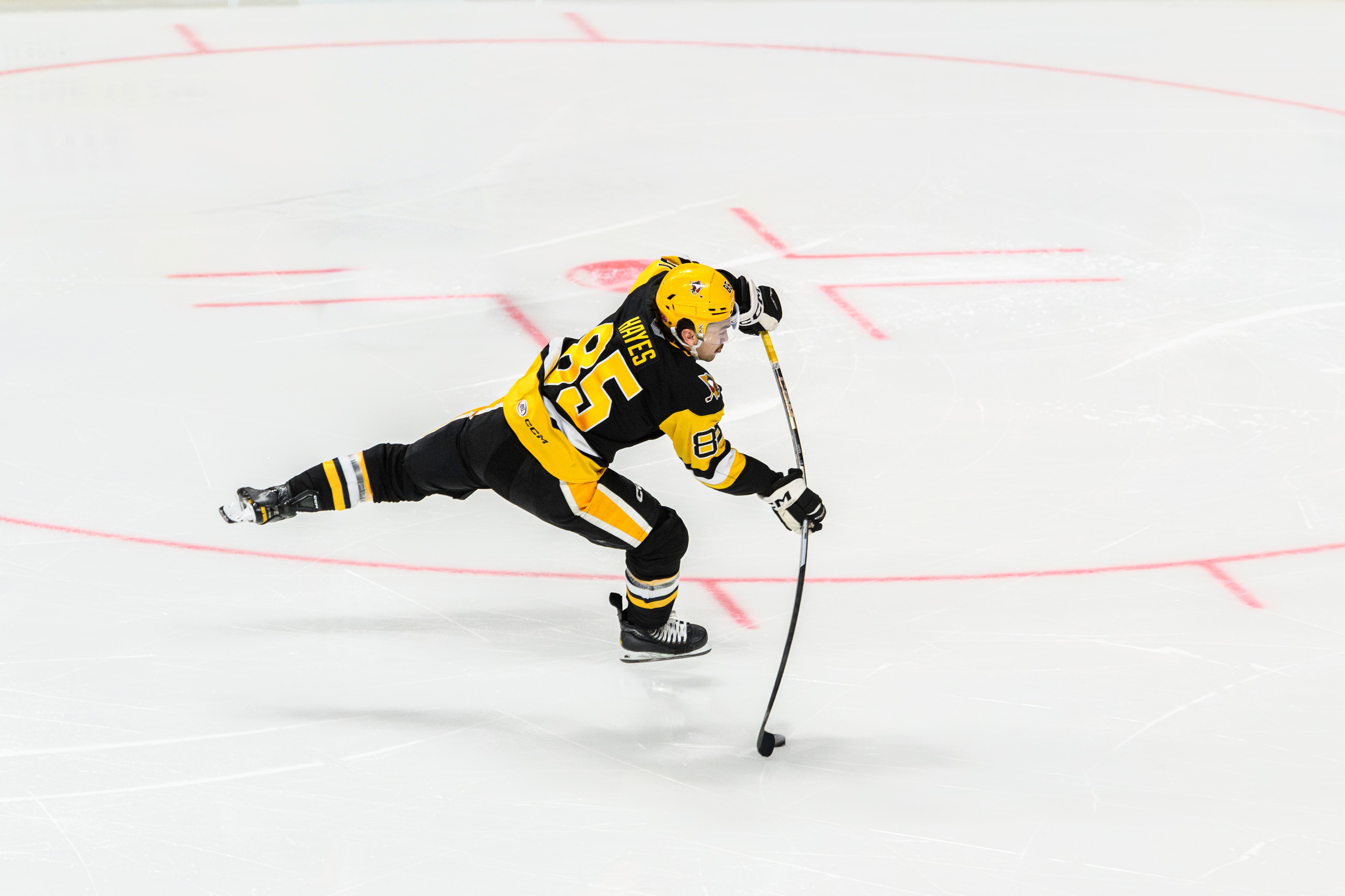 Penguins Skater