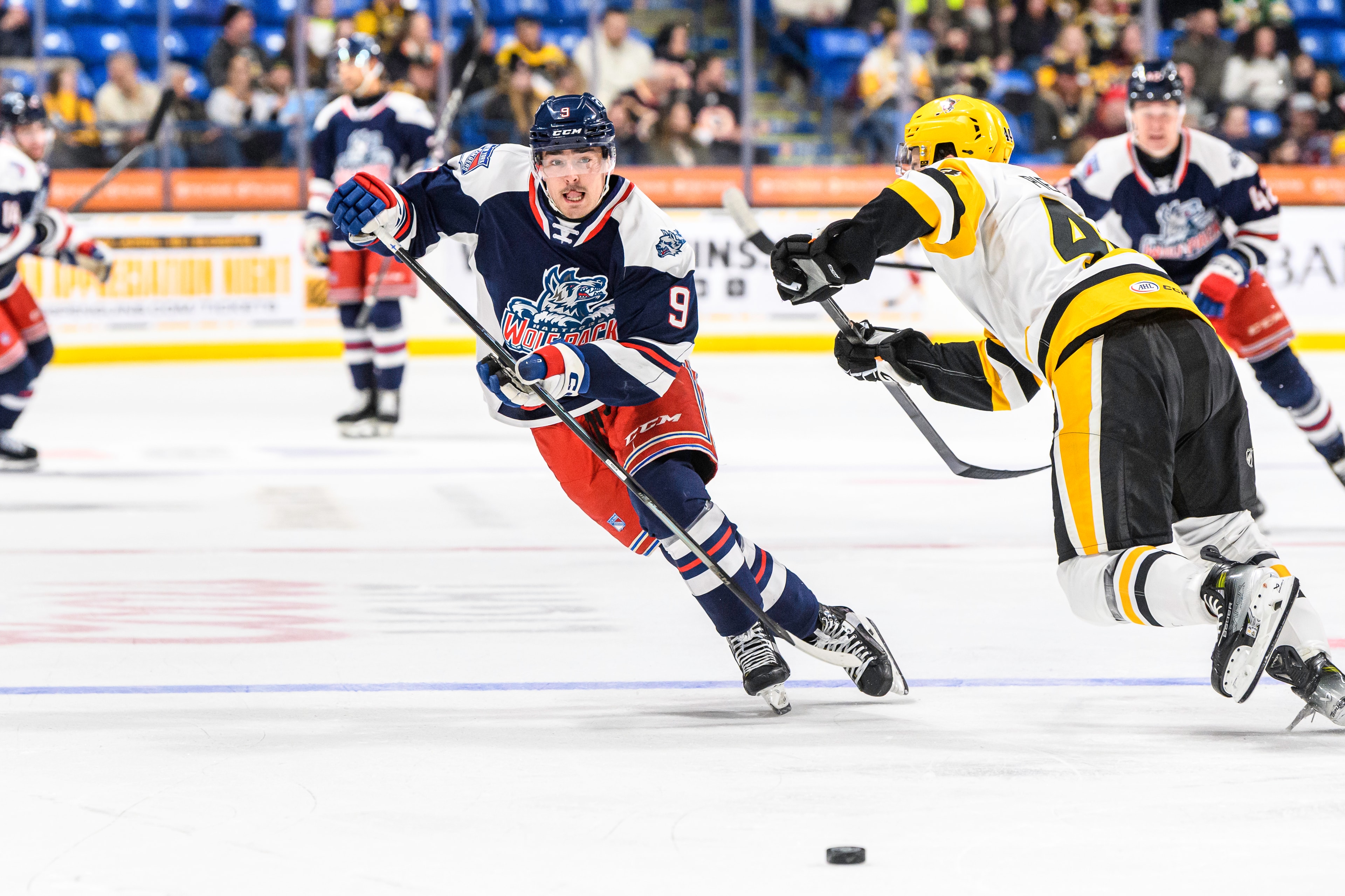 Wolfpack vs Penguins
